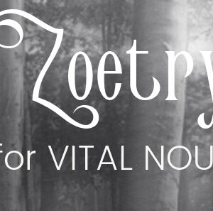 Zoetry: WRITING FOR VITAL NOURISHMENT - Self Study PDF