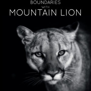 Boundaries with Mountain Lion
