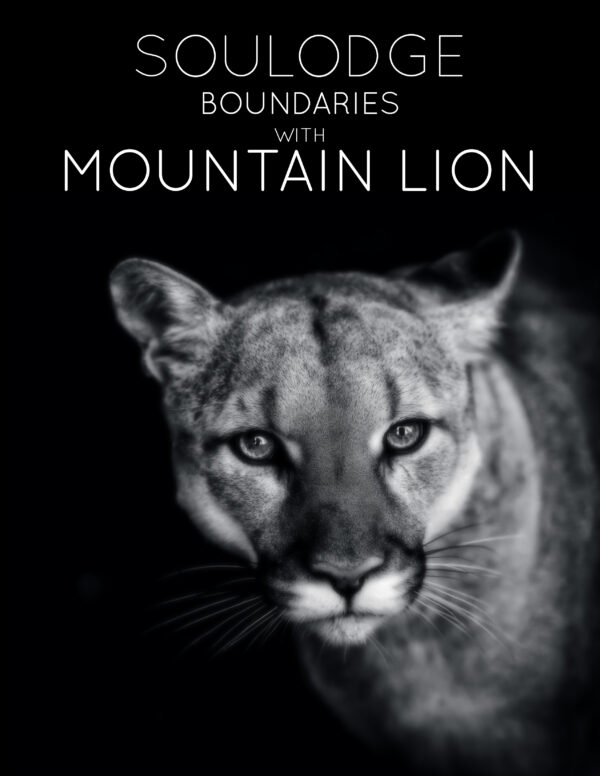 Boundaries with Mountain Lion