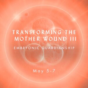 Transforming the Mother Wound Bundle