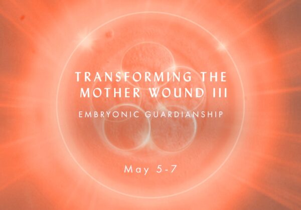 Transforming the Mother Wound Bundle