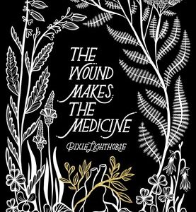 The Wound Makes the Medicine Book Study 2026